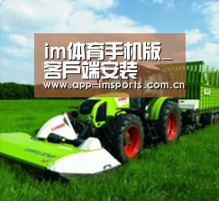 关于im体育下载