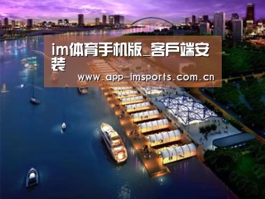案例展示八