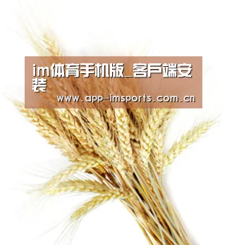 im体育手机版_客户端安装