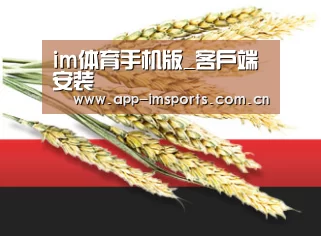 im体育手机版_客户端安装