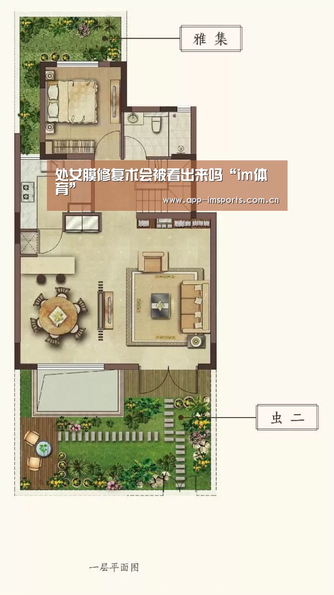 im体育官方app下载