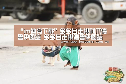 im体育下载