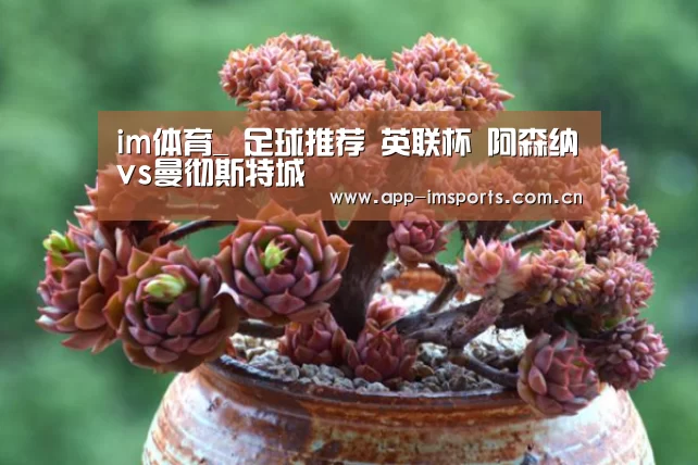 im体育_
足球推荐 英联杯 阿森纳vs曼彻斯特城(图2) im体育官方app下载