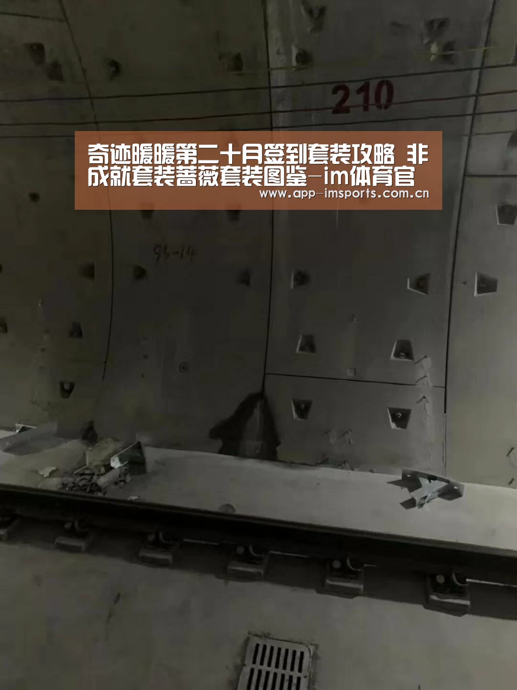 奇迹暖暖第二十月签到套装攻略 非成就套装蔷薇套装图鉴-im体育官方app下载(图1) im体育