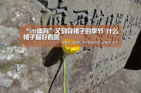 im体育下载