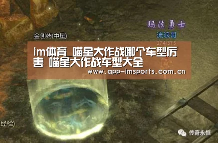 im体育投注